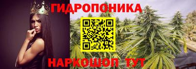 спиды Вышний Волочёк