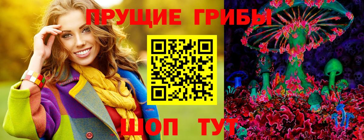 Михайловск  Галлюциногенные грибы GOLDEN TEACHER  купить закладку  Вход с VPN 