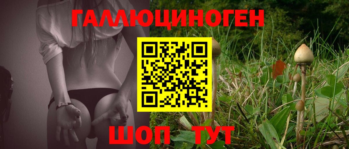 Псилоцибиновые грибы GOLDEN TEACHER Михайловск
